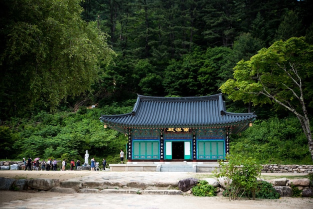 temple in forest against trees