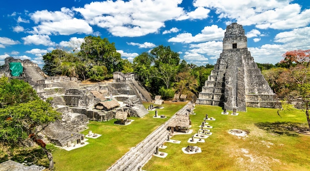 Photo temple of the great jaguar at tikal unesco world heritage in guatemala