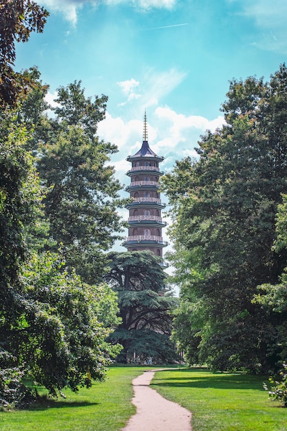 Photo temple in tokyo to the forest