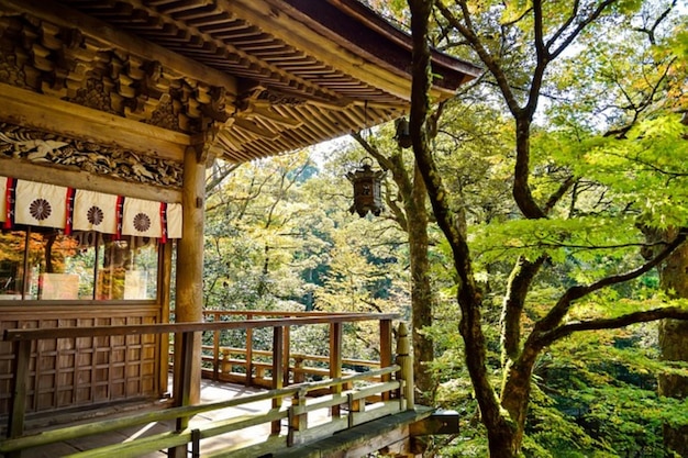 Photo temple with trees