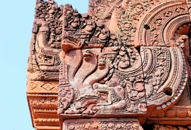정글에 있는 캄보디아의 사원과 조각품