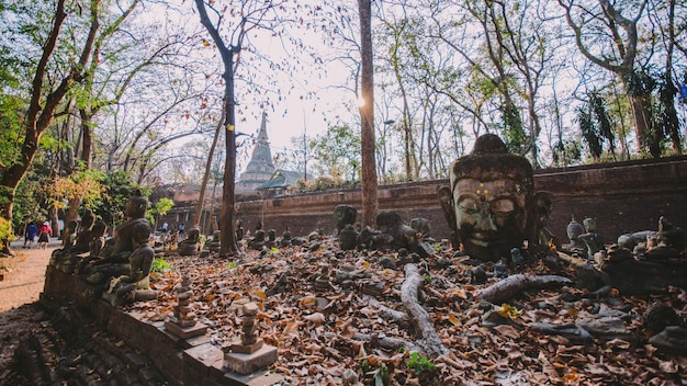 Photo temples in thailand