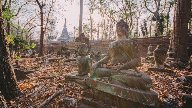 Photo temples in thailand