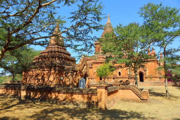 Temples between trees in Bagan