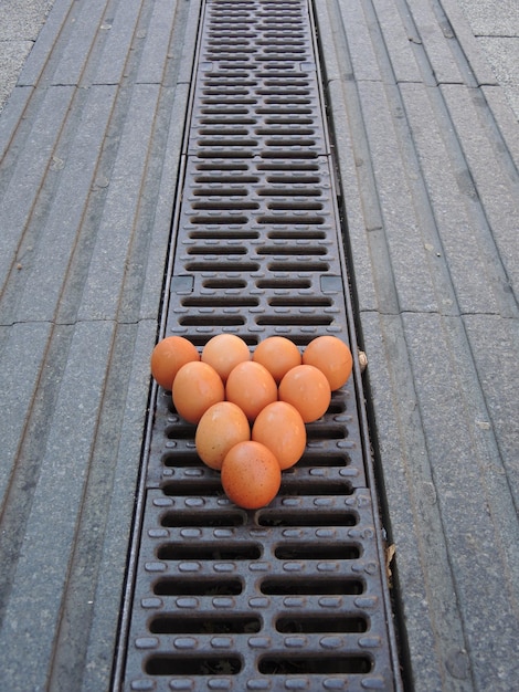 Десять куриных яиц на улице, как бильярдные шары
