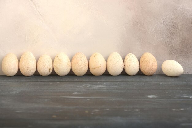 Ten turkey eggs stand in a row against a gray aged wall horizontal