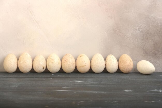 Ten turkey eggs stand in a row against a gray aged wall horizontal