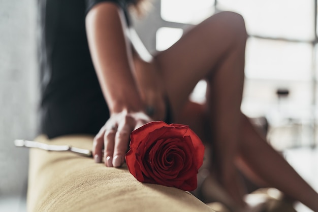 Photo tender as a flower. close up of young woman in elegant black dress holding a red rose while sitting on the sofa