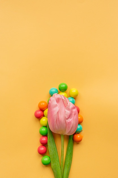 Фото Нежный розовый тюльпан и множество ярких разноцветных шаров вокруг на пастельно-желтом фоне. плоская планировка. скопируйте пространство. концепция международного женского дня, дня матери, пасхи. день влюбленных