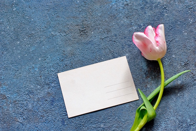 Tender spring tulip and a post card on gray cement