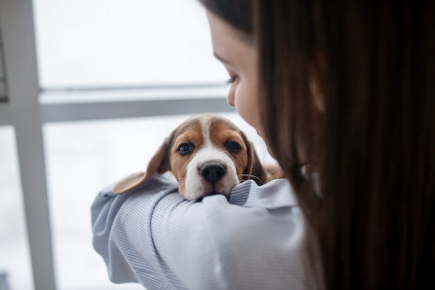 Tenderness. Pet owner holding her cute puppy and looking happy