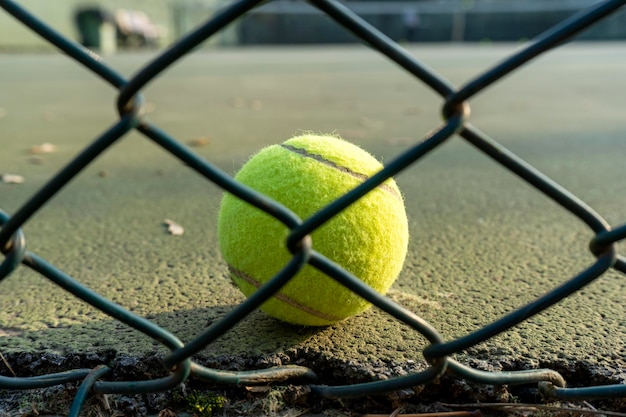 Foto palla da tennis dietro i fili