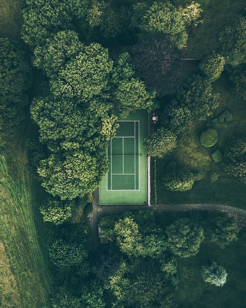 Tennis court in the woods