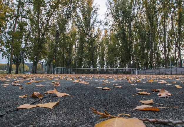 Campo da tennis in autunno