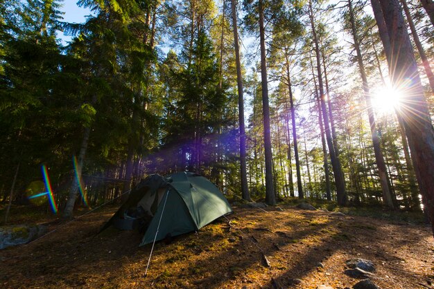 Foto tenda contro gli alberi nella foresta