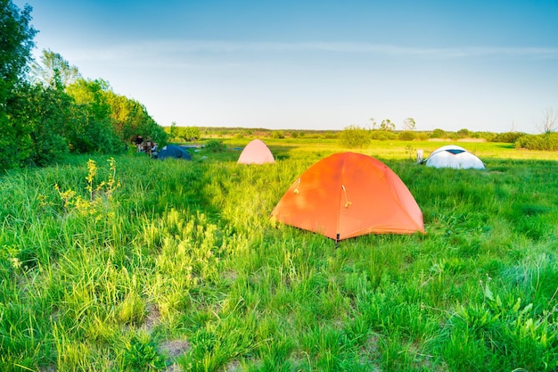 Tent camp camping at sunset on green grass field in forest and