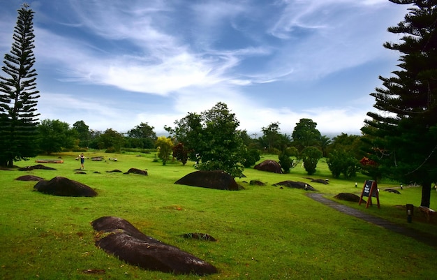 Tenda da campeggio in mezzo alla natura.