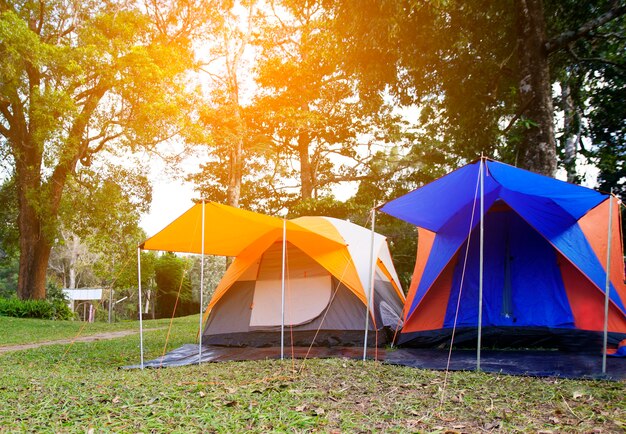 Tent in camping