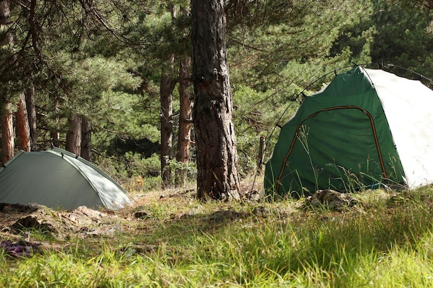 Tent at campsite in forest