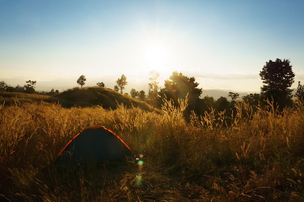 Foto tenda sul campo contro il cielo all'alba