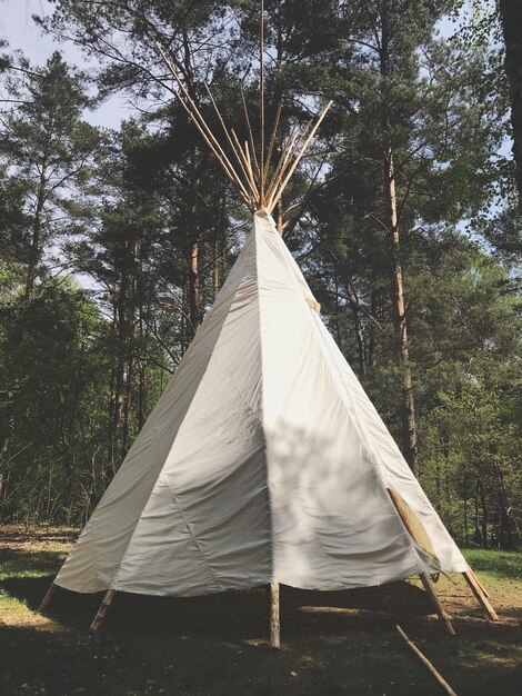 Photo tent in field against trees in forest