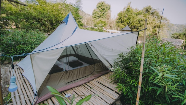 Foto tenda nel campo contro gli alberi