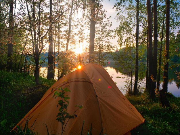 Tent in forest against sky