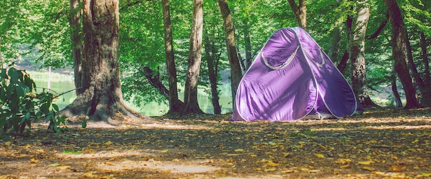 Tent in the forest, good rest in the forest