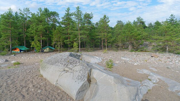 Tent in the forest on the shore of a lake