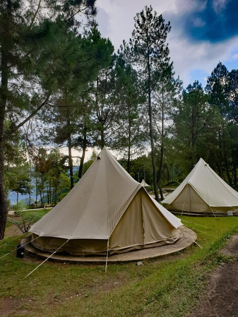 Tent in forest