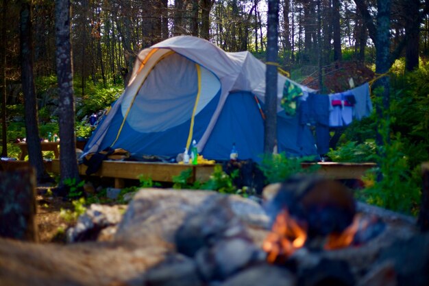 Photo tent in forest