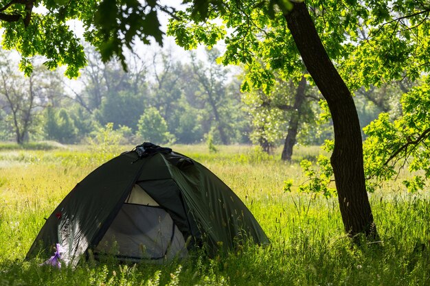 Tent in forest