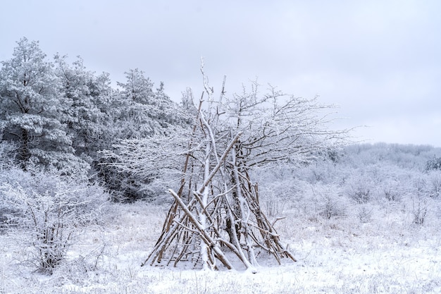 Foto tent gemaakt van dunne takken, winterlandschap.