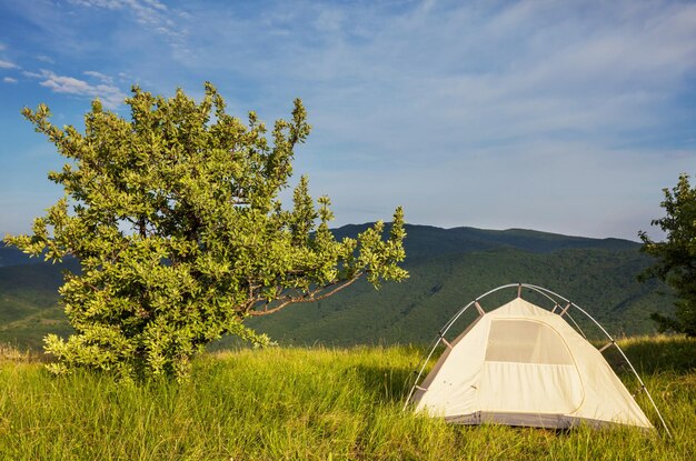 Tent on grassland