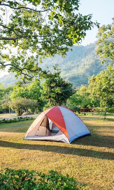 Tent on the green grass yard.