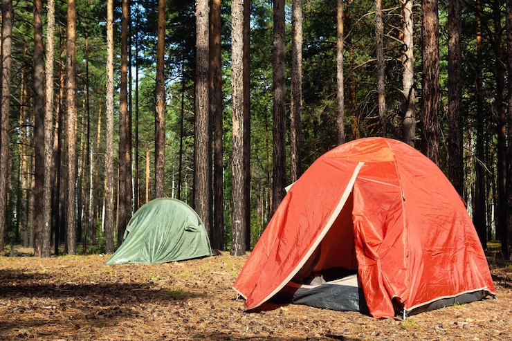 Foto tent in het bos