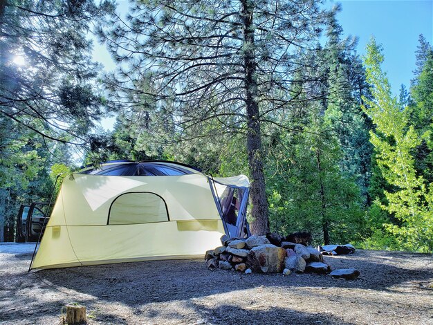 Tent in het bos.