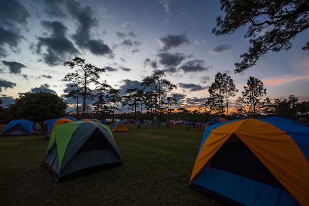 Tenda nel parco nazionale.