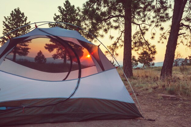 Tent op een boscamping