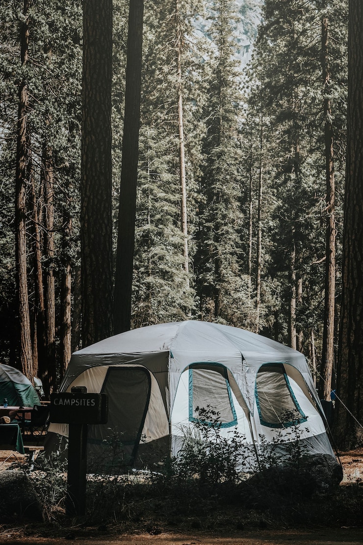 Foto tent op een camping in het bos