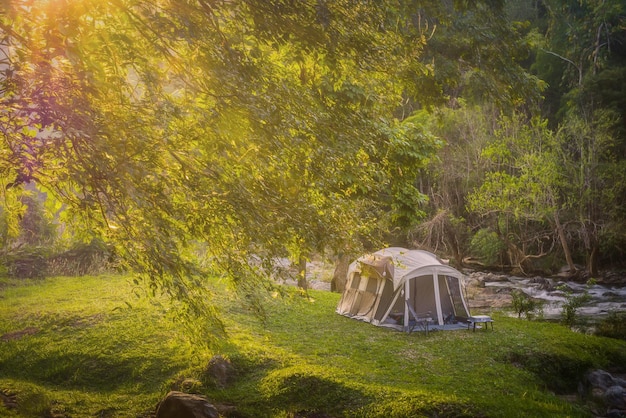 Tent op een grasveld bij de rivier te midden van bomen in het bos