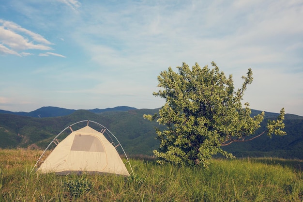 Tent op het groene grasland