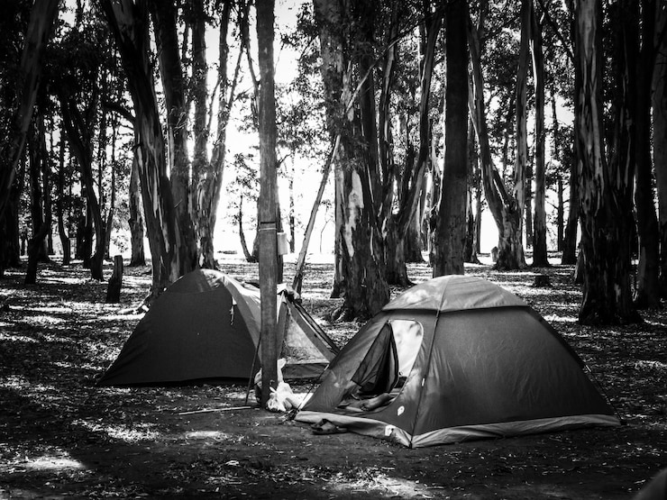 Foto tent op het veld bij bomen in het bos