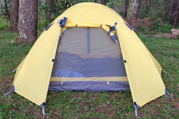 Tent in park