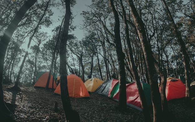 Tent tenten gemonteerd in de bergen