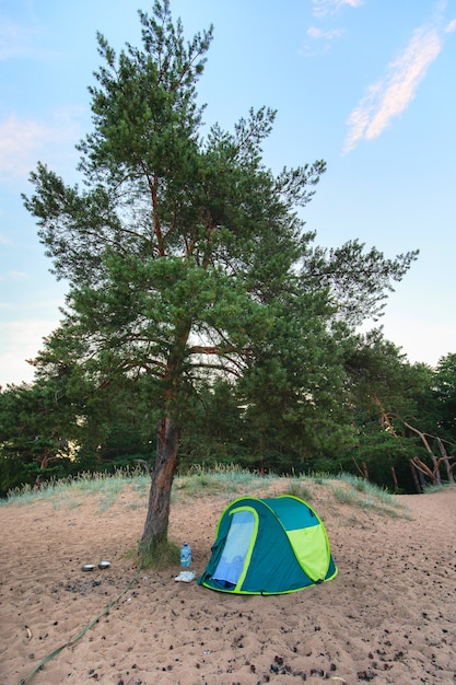 Tent under a tree on a sandy beach