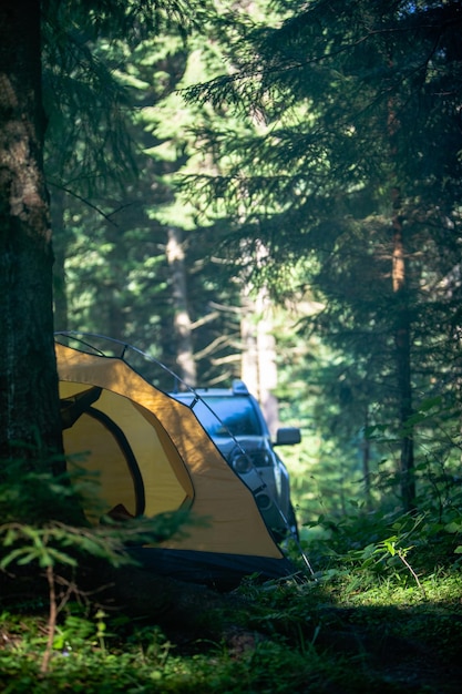 Tent with suv car in forest