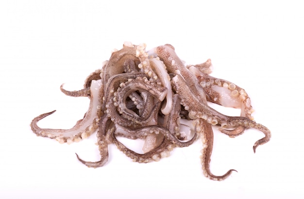 Foto tentacoli di calamari isolati su sfondo bianco