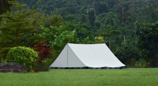 Tents are tents that have been set up for sleeping in the middle of nature