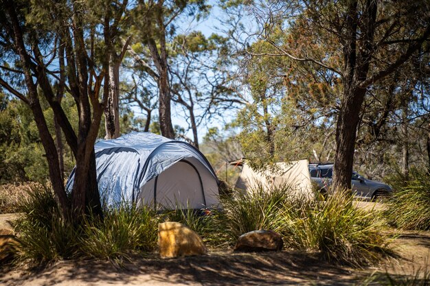 tents and camper trailers camping in an isolated campground